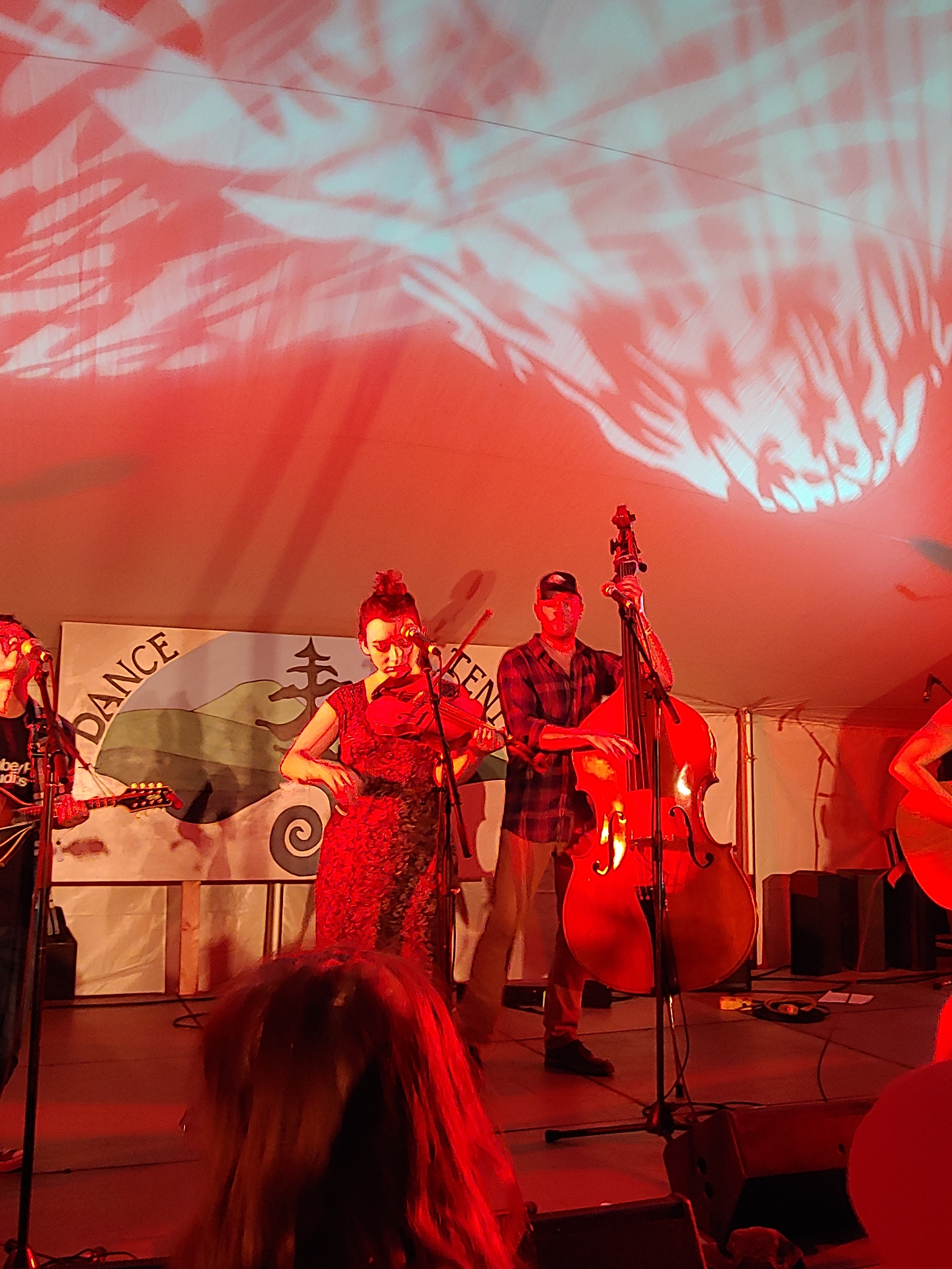 TwistedPine2018-08-16GreenMountainBluegrassAndRootsFestivalManchesterVT (6).jpg